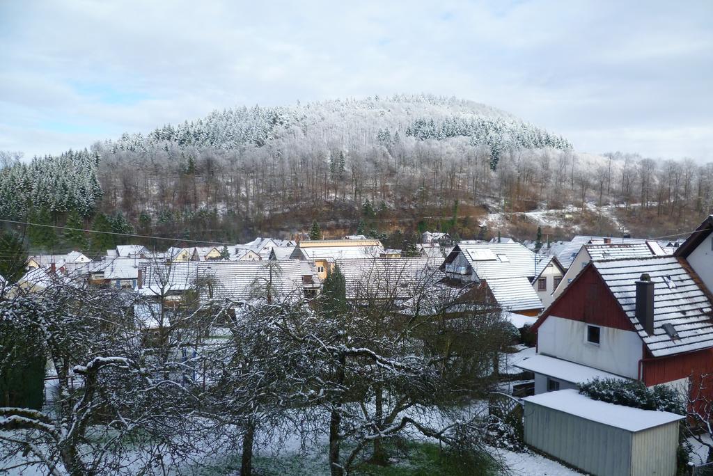Schwarzwald Domizil Uhlsberg Apartamento Kippenheim Exterior foto