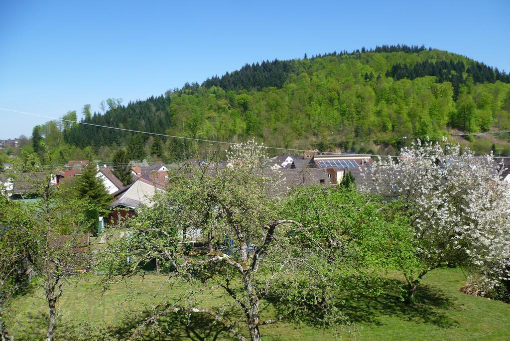 Schwarzwald Domizil Uhlsberg Apartamento Kippenheim Quarto foto