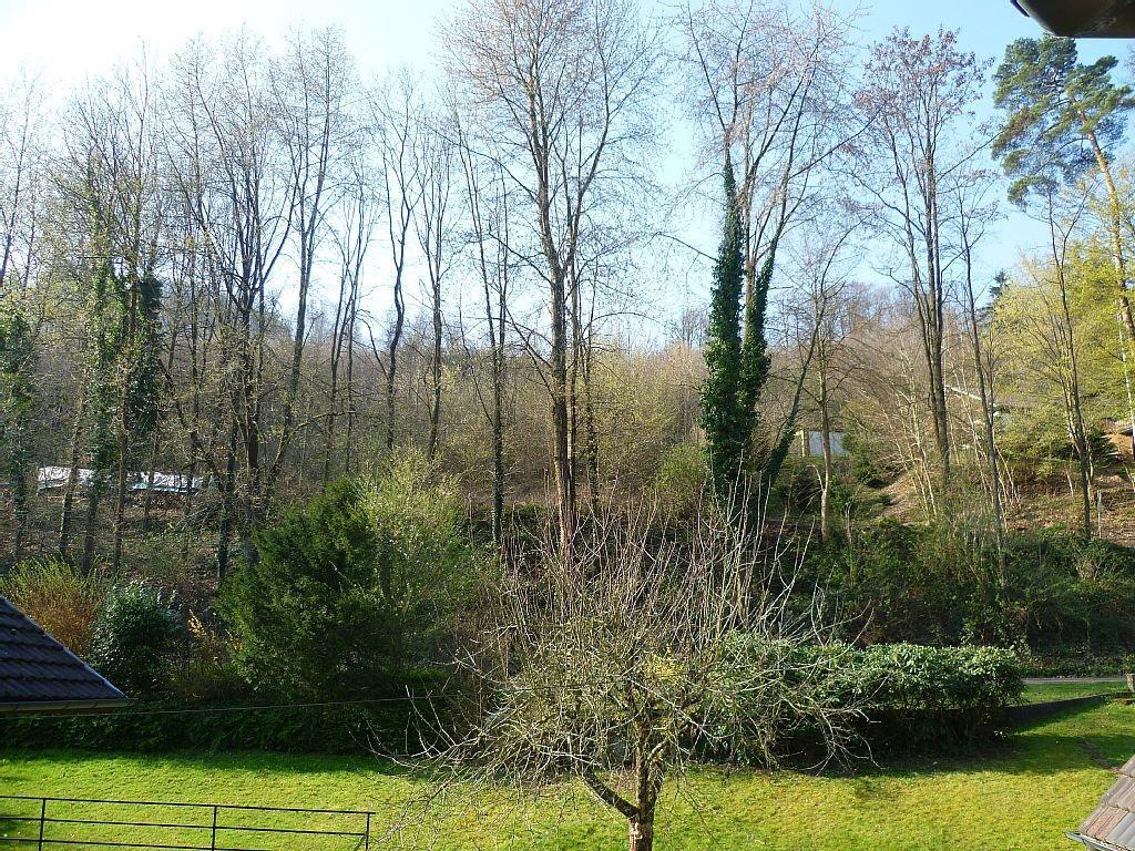 Schwarzwald Domizil Uhlsberg Apartamento Kippenheim Exterior foto