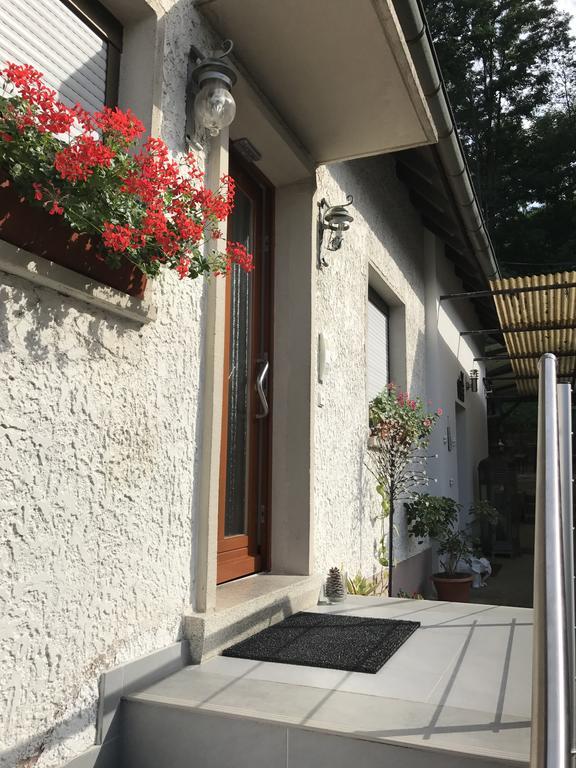 Schwarzwald Domizil Uhlsberg Apartamento Kippenheim Exterior foto