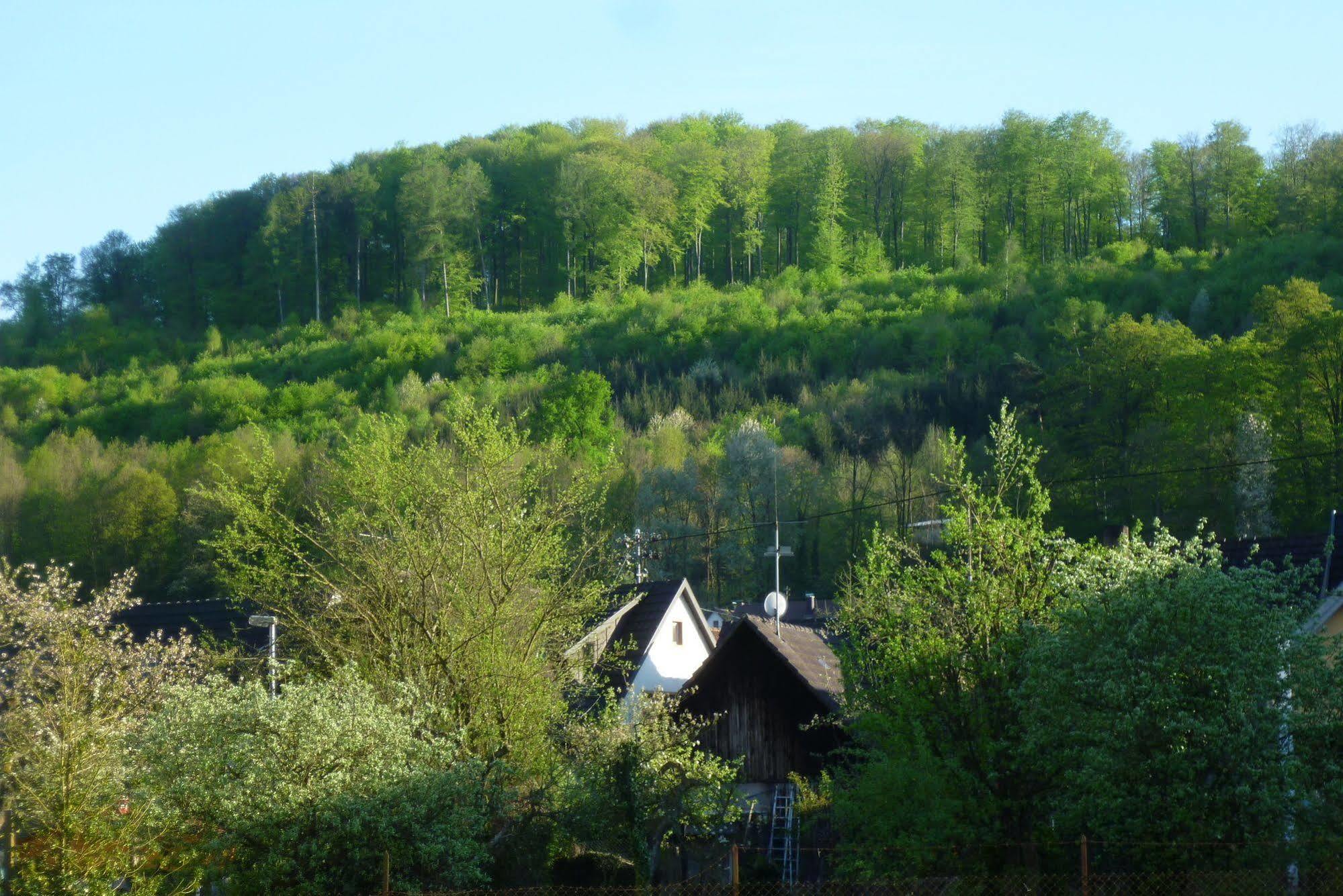 Schwarzwald Domizil Uhlsberg Apartamento Kippenheim Exterior foto